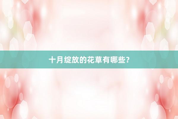 十月绽放的花草有哪些？